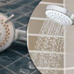 Home ja plakki eivät tule takaisin: yksinkertainen suihkutemppu, josta harva