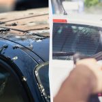 Linnut eivät enää paskanna autoja: näin sinun on toimittava