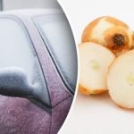 Miksi autoa hierotaan sipulilla – kokeneet kuljettajat paljastavat salaisuuden