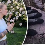 Miten pidentää vanhan puun käyttöikää: kokeneiden puutarhureiden vinkkejä