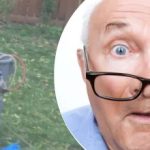 Outo löytö puun läheltä jätti naapurin ymmälleen: mitä salaisuutta hän