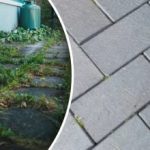 Pihan rikkaruohot katoavat yhdessä yössä, jos suihkutat niitä yhdellä keittiövälineellä.