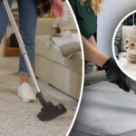 Siitä ei jää jälkeäkään: 7 vaihetta virtsan hajun poistamiseksi matosta.