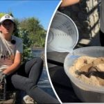 Yksinkertainen isoisän menetelmä: puutarhuri kertoi, miten porkkanat pidetään tuoreina kevääseen